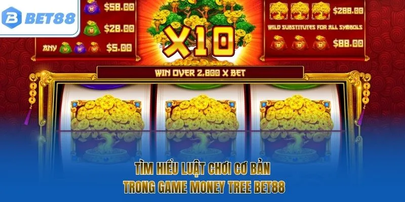 Tìm hiểu luật chơi cơ bản trong game Money Tree BET88